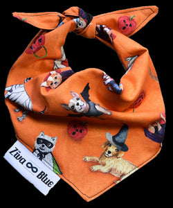 Pet Bandana -  To Cute to Spook - Halloween