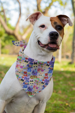 Pet Bandana - Mad hatter's Tea Party