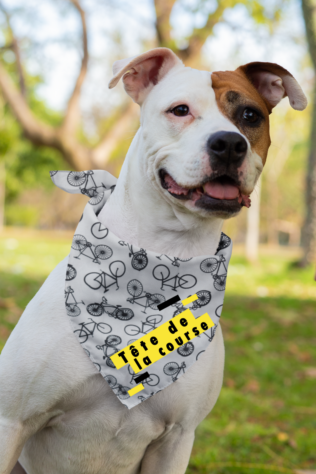 Pet Bandana - Le Tour