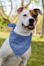 Pet Bandana - Aussie Spirit
