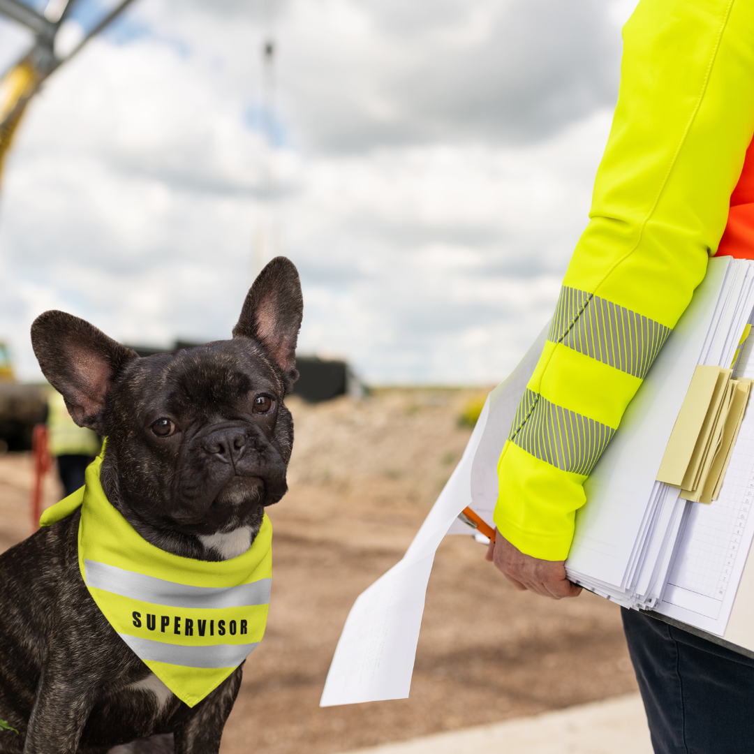Hi vis dog sales bandana
