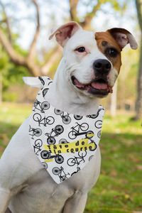 Pet Bandana - Le Tour