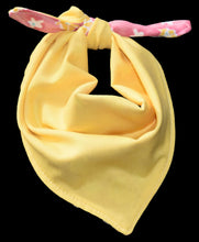Pet Bandana - Zinnia on Pink